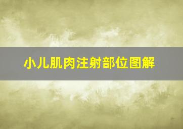 小儿肌肉注射部位图解