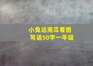 小兔运南瓜看图写话50字一年级