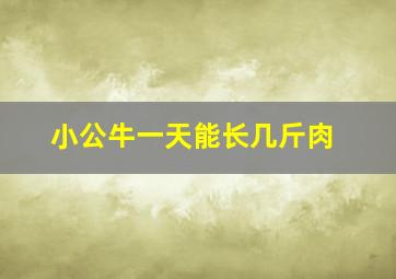 小公牛一天能长几斤肉