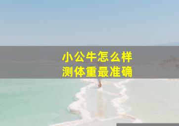 小公牛怎么样测体重最准确