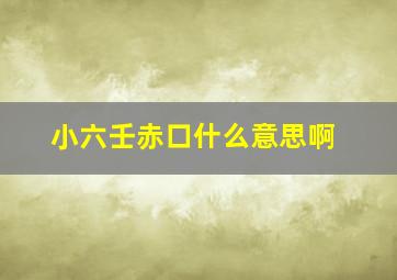 小六壬赤口什么意思啊