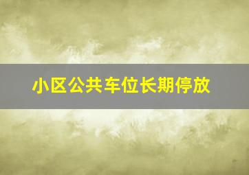 小区公共车位长期停放