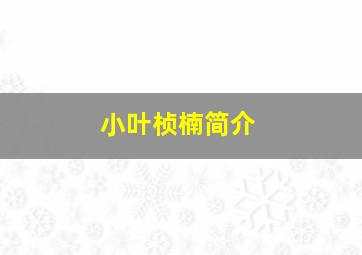 小叶桢楠简介