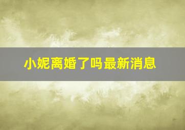 小妮离婚了吗最新消息