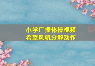 小学广播体操视频希望风帆分解动作