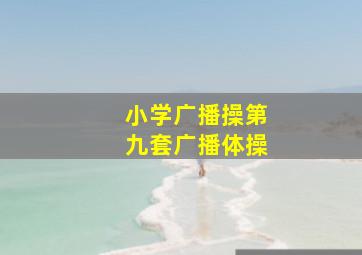 小学广播操第九套广播体操