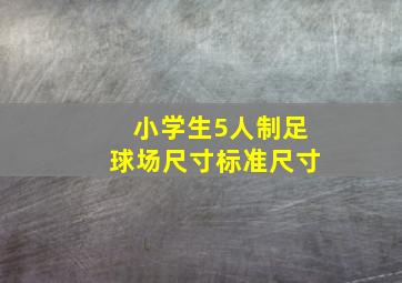 小学生5人制足球场尺寸标准尺寸