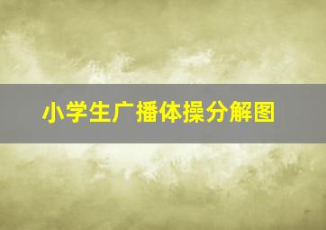 小学生广播体操分解图