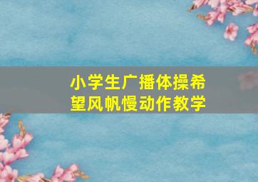 小学生广播体操希望风帆慢动作教学