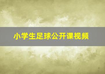 小学生足球公开课视频