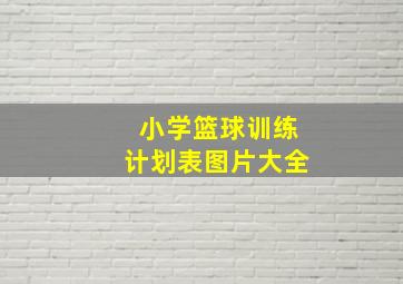 小学篮球训练计划表图片大全