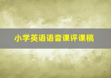 小学英语语音课评课稿