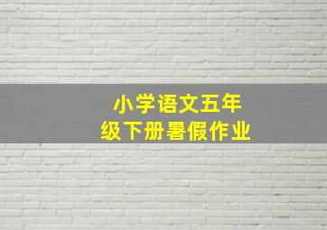 小学语文五年级下册暑假作业