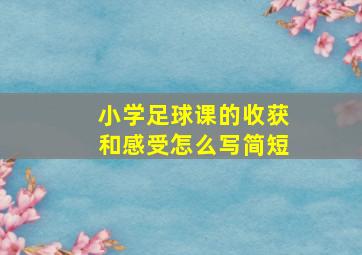 小学足球课的收获和感受怎么写简短