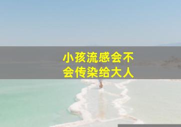 小孩流感会不会传染给大人