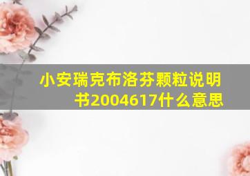 小安瑞克布洛芬颗粒说明书2004617什么意思