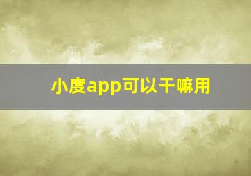 小度app可以干嘛用