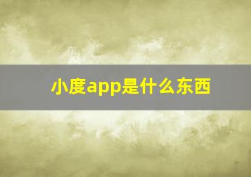 小度app是什么东西