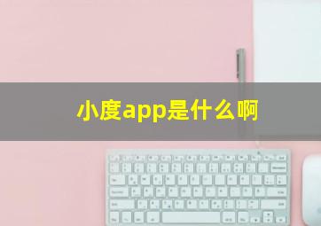 小度app是什么啊