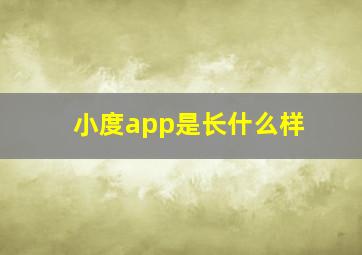 小度app是长什么样