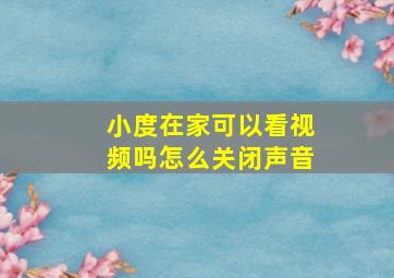 小度在家可以看视频吗怎么关闭声音