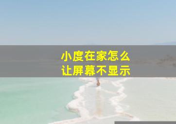 小度在家怎么让屏幕不显示