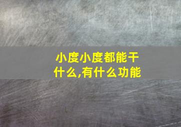 小度小度都能干什么,有什么功能