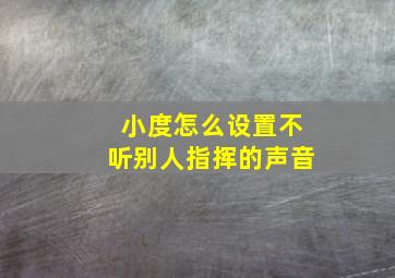 小度怎么设置不听别人指挥的声音