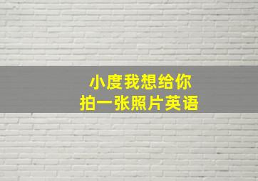 小度我想给你拍一张照片英语