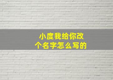 小度我给你改个名字怎么写的