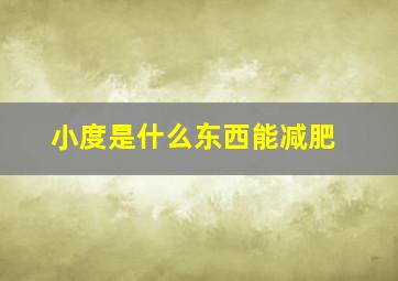 小度是什么东西能减肥