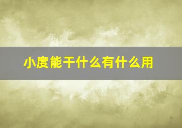 小度能干什么有什么用