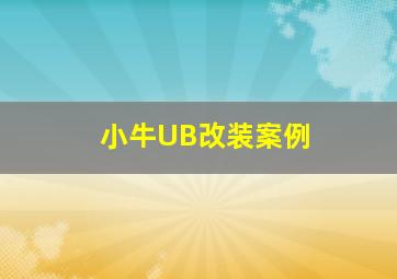 小牛UB改装案例