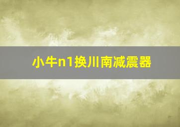 小牛n1换川南减震器