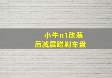 小牛n1改装后减震蹭刹车盘