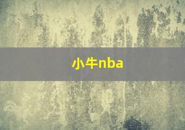 小牛nba