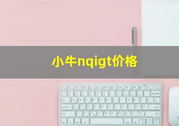 小牛nqigt价格