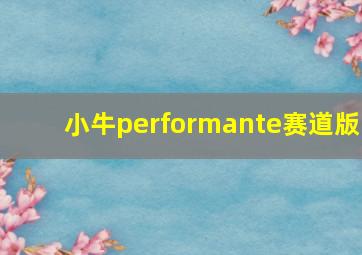 小牛performante赛道版