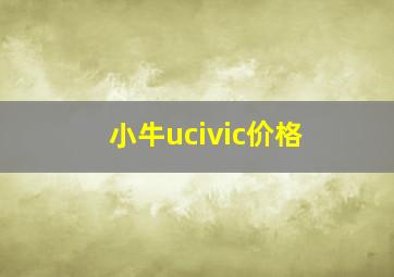 小牛ucivic价格