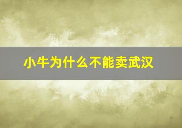 小牛为什么不能卖武汉