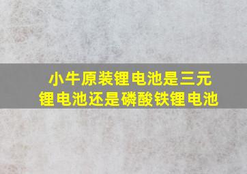 小牛原装锂电池是三元锂电池还是磷酸铁锂电池