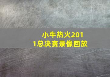 小牛热火2011总决赛录像回放