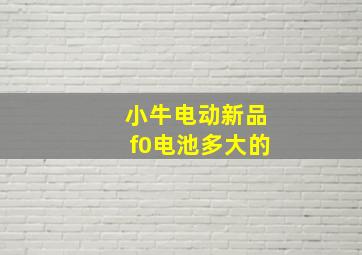 小牛电动新品f0电池多大的