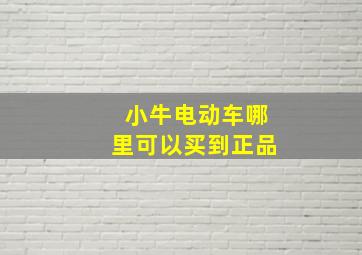 小牛电动车哪里可以买到正品