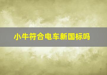 小牛符合电车新国标吗