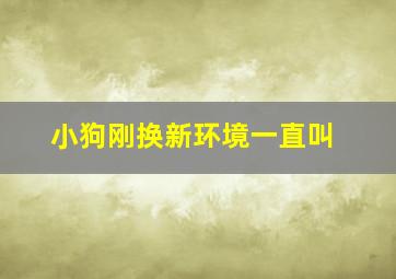 小狗刚换新环境一直叫