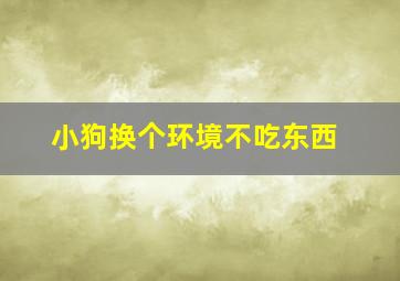 小狗换个环境不吃东西