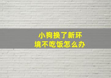 小狗换了新环境不吃饭怎么办