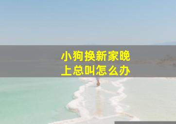 小狗换新家晚上总叫怎么办