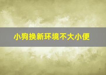 小狗换新环境不大小便